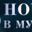 15 мая “Ночь музеев” - Голос кольчугинца