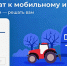Проголосуйте до 17 ноября! - Голос кольчугинца