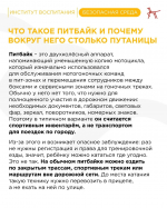 питбайк_5.jpg
