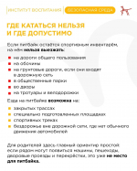 питбайк_6.jpg